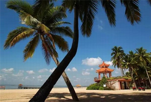 半煎铺子生煎包