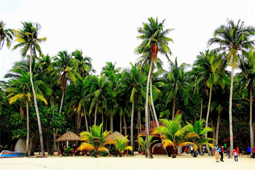 臻婆湾金陵小碗菜