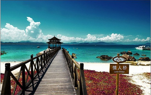 乳钙加盟什么店赚钱