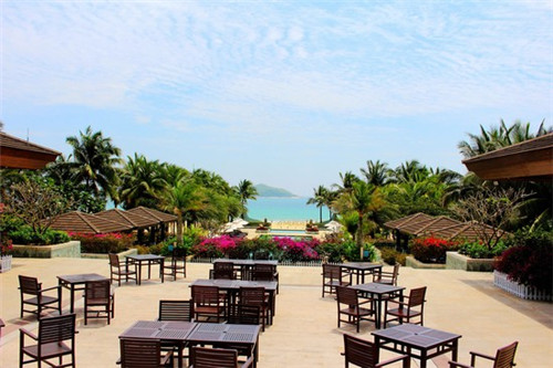 仙草缘奶茶加盟费多少（仙草奶茶是什么东西）