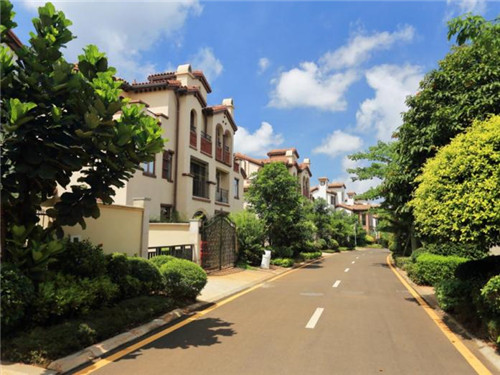 apex手游新手玩什么（apex新手选什么）