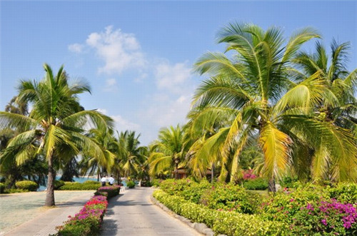 香菇牛肉炒红萝卜可以吃吗（牛肉可以和香菇红萝卜一起煮粥吗）