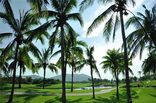 世界十大最奇怪比赛排名（世界十大最奇怪比赛排名榜）