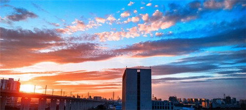 拆骨肉炒毛豆怎么炒（拆骨肉炒毛豆怎么炒的）